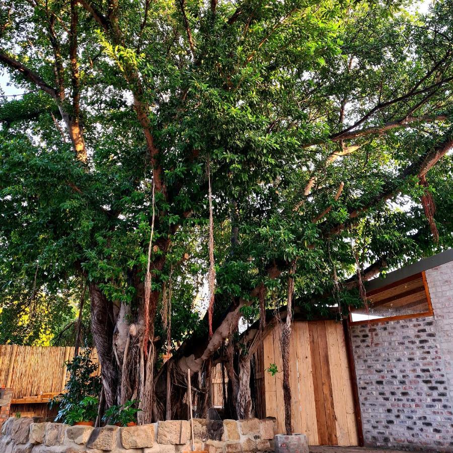 אאודטסהורן Uthando Backpackers Lodge מראה חיצוני תמונה